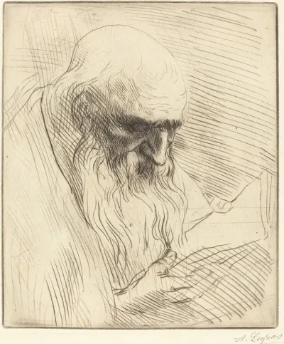 Study Of The Head Of A Man Reading Etude De Tete Dhomme Lisant