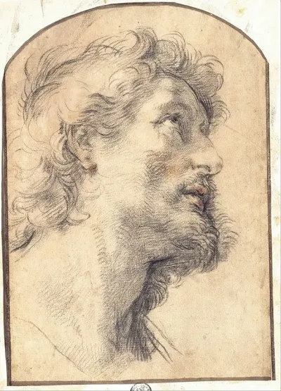 Study Of The Head Of Saint Crispin
