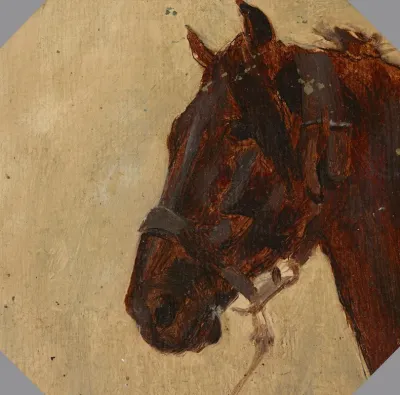 Study Of The Horses Head