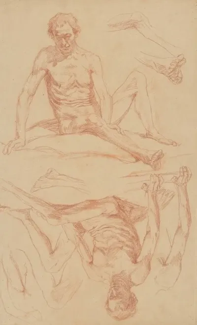 Study Of The Male Nude 3