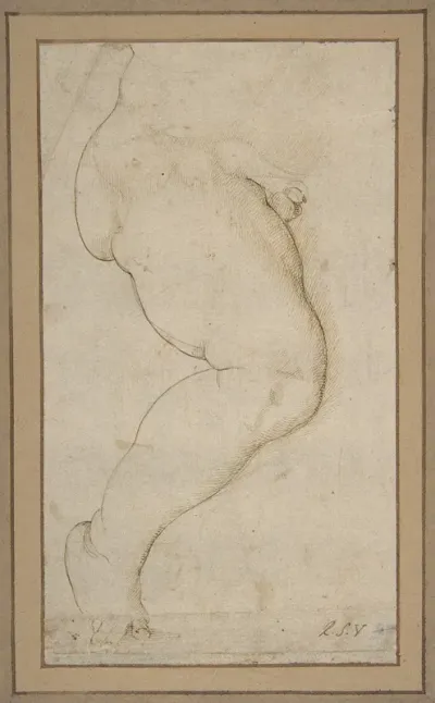Study Of The Right Leg Of A Male Child