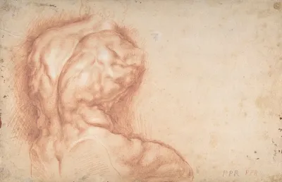Study Of The Torso Belvedere