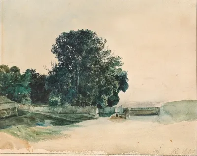 Study Of Tree