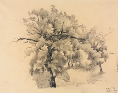 Study Of Trees 16