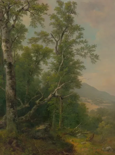 Study Of Trees 3