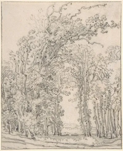 Study Of Trees 4
