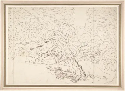 Study Of Trees 5