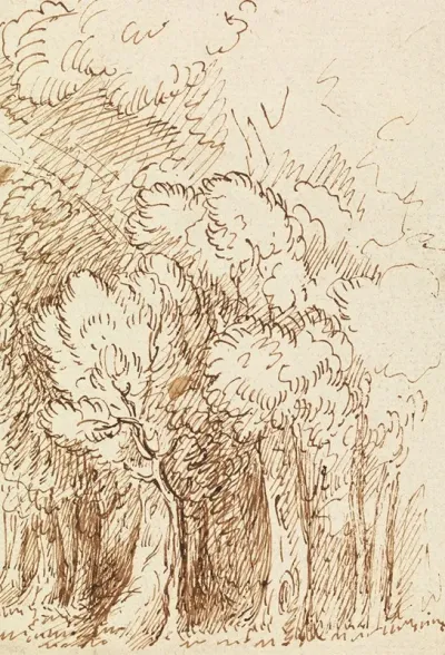 Study Of Trees 7