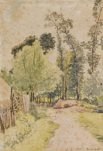 Study Of Trees At Bayswater London