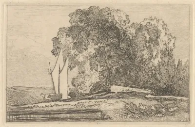 Study Of Trees On The Banks Of The Yare