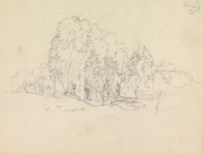 Study Of Tress And Vegetaion Growing Over Ruins