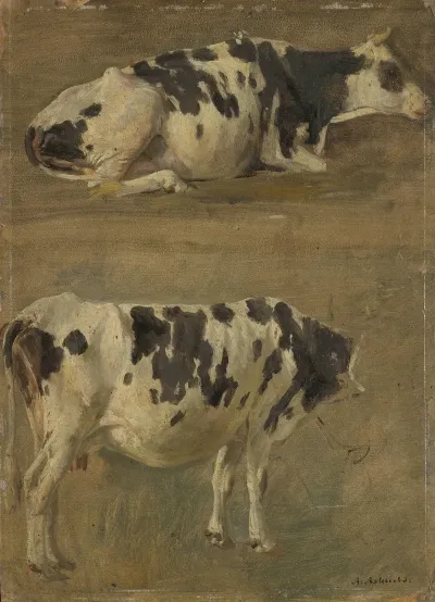 Study Of Two Cows