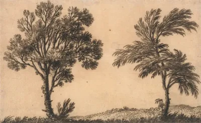 Study Of Two Willows