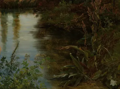 Study Of Water And Plants