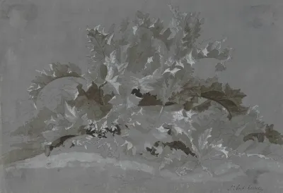 Study Of Weeds
