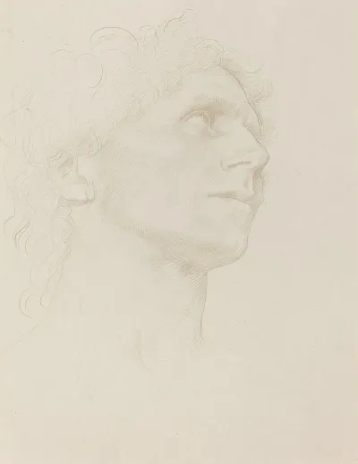 Study Of Womans Head Turned Right