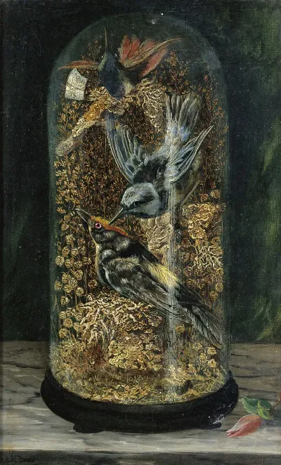 Stuffed Birds In A Dome