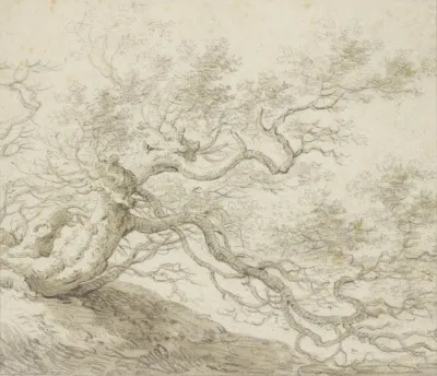 Stunted Tree