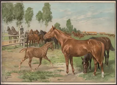 Stutterihest