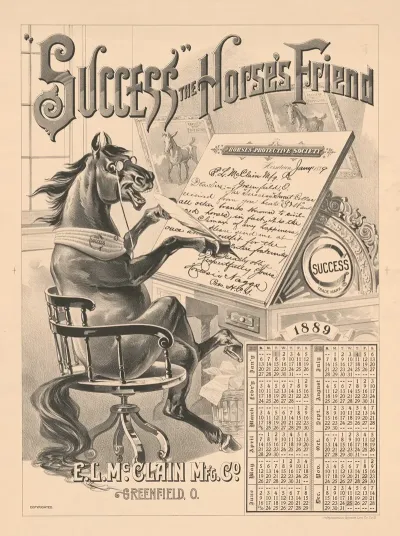 Success The Horses Friend