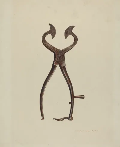 Sugar Cutter