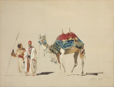 Sultans White Camel Sketch