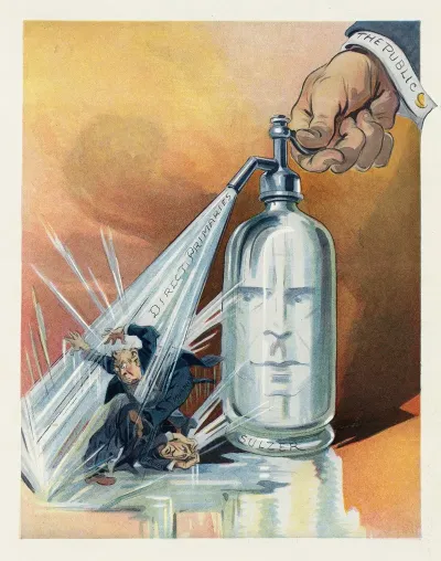 Sulzer On The Side