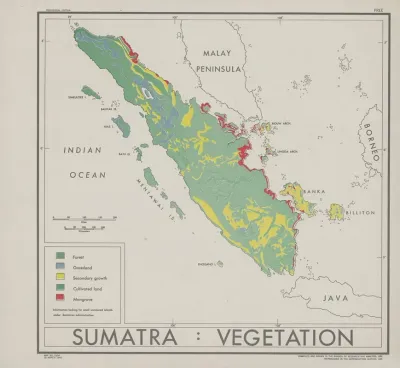 Sumatra Vegetation