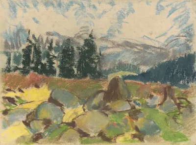 Summer Day On Rocky Forest Clearing