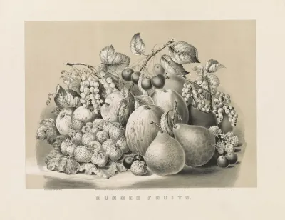 Summer Fruits