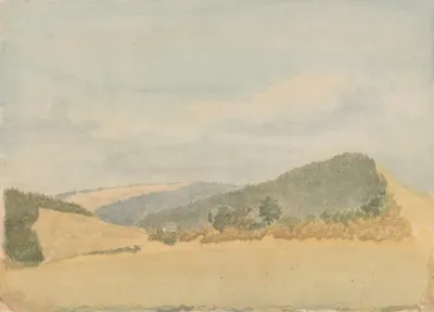 Summer Landscape 19