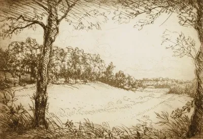 Summer Morning In Tennessee