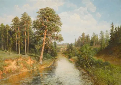 Summer Woodland Scene