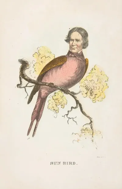 Sun Bird James S Wallace