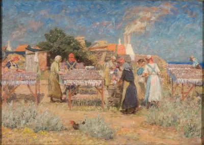 Sun Drying Herrings