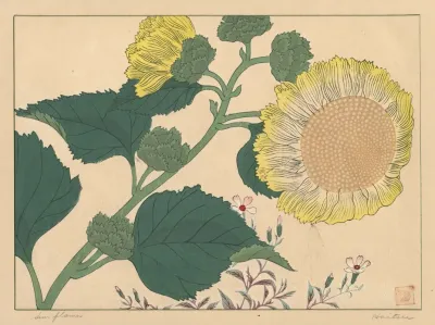 Sun Flowers
