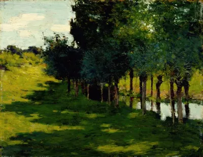 Sunlight And Shadow 6