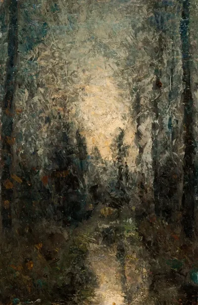 Sunlight Shimmering Through The Trees