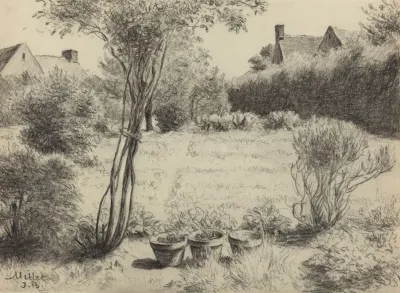 Sunlit Garden