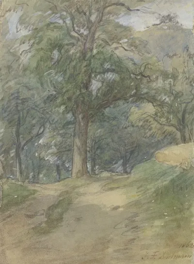 Sunny Forest Path