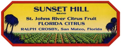 Sunset Hill Brand Florida Citrus Label