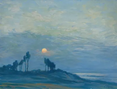 Sunset Over The Trees