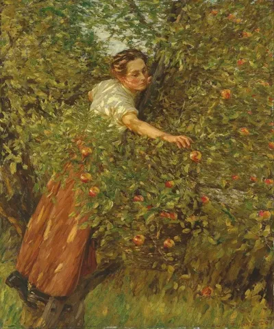 Sussex Apples