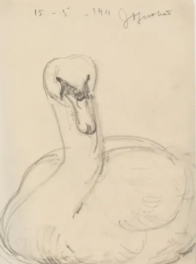 Svane