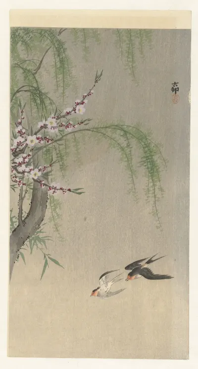 Swallows In Flight