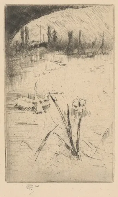 Swan And Iris
