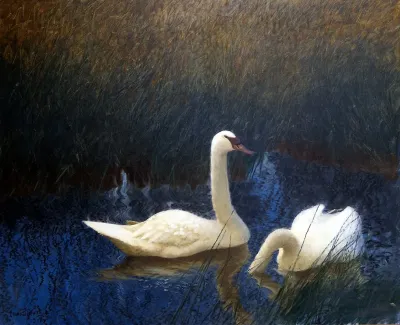 Swans In Reeds