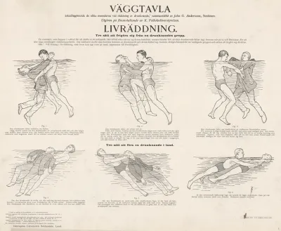 Swedish Lifesaving Board