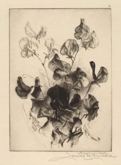 Sweet Peas 3