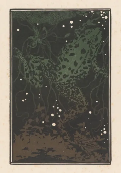 Swimming Frog 2